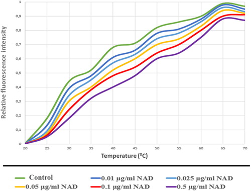 Figure 15. PARP2-NAD interaction was tested with thermal shift assay. Melting temperatures PARP2-NAD interaction (Tm values).