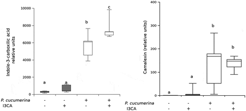 Figure 2. Effect of I3CA treatment and the infection in the accumulation of indole-derived compounds. Compounds levels were measured by HPLC-MS before and after Plectospharella cucumerina (Pc) infection in I3CA-treated (Col-I3CA) and untreated (Col-0) Arabidopsis Col-0 plants and are represented with box plots. (a) Indole-3-carboxylic acid (I3CA) levels. (b) Camalexin levels.