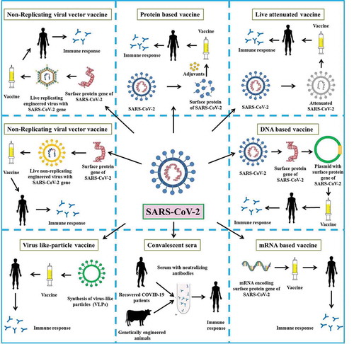 Figure 1. An overview of the design and development of COVID-19/SARS-CoV-2 vaccines