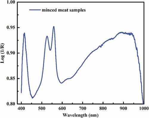 Figure 2. Averaged spectra of minced meat samples using a USB4000 spectrometer.