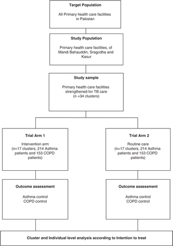 Fig. 1 Design of the trial. COPD, chronic obstructive pulmonary disease; TB, tuberculosis.