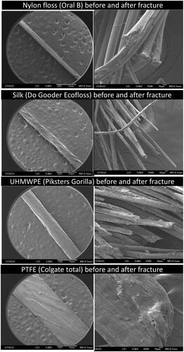 Figure 4. SEM images of four flosses studies before and after tensile fracture.