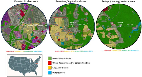 Figure 1. Landscape composition and land use at the three studied locations and apiaries (1- Mansion: Urban area, 2- Meadow: Agricultural area, 3- Refuge: Non-agricultural area). Total number of colonies per location (n = 7), (2.3 km) is the estimated foraging distance.