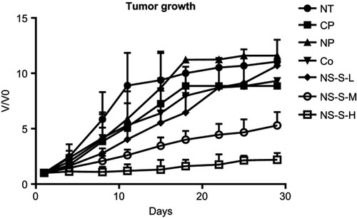 Figure 8 Tumor growth versus time from the first day of dosing to day 29 of treatment period (n=7 in NT, CP, NP groups, n=10 in Co [5 mg/kg], NS-S-L [5 mg/kg], NS-S-M [25 mg/kg] and NS-S-H [50 mg/kg] groups).Abbreviations: NT, no treatment; CP, cosolvent placebo; NP, nanosuspension placebo; NS-S-L, NS-S of low dose; NS-S-M, NS-S of medium dose; NS-S-H, NS-S of high dose; NS-S, CZ48 nanosuspension with particle size of 197.22 ± 7.12 nm.