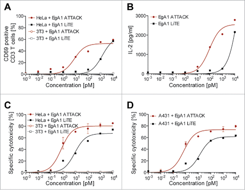 Figure 6. Induction of T cell activation and cytotoxicity by EgA1 ATTACK. EGFR-positive HeLa cells or EGFR-negative 3T3 cells were co-cultured in 96-well plates with PBMCs in the effector:target (E:T) ratio of 5:1, and purified EgA1 LiTE or EgA1 ATTACK. After 24 hours, the surface expression of T-cell activation surface marker CD69 was determined by FACS analysis (A) and IL-2 production was determined by ELISA (B). Specific lysis of HeLaLuc cells and 3T3Luc cells (C) or A431Luc cells (B) incubated with PBMC (5:1) in the presence of purified antibodies and after 48 h. Percent viability was calculated relative to the luminescence from an equal number of input control cells and used to calculate percent specific lysis. Results are expressed as a mean ± SD (n = 3) from 1 of at least 3 separate experiments. The experiments were performed three times and results of one representative experiment are shown.