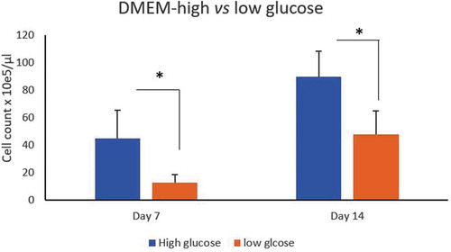 Figure 3. Effect of glucose concentration on ASCs culture. Count of ASCs isolated from LPA cultured in DMEM-high glucose (4.5/L)(blue histogram) vs low glucose (1 g/L) (brown histogram) concentrations at day 7 and 14. *p < 0.05