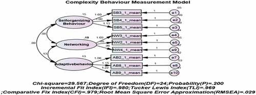 Figure 1. Complexity behavior measurement model.