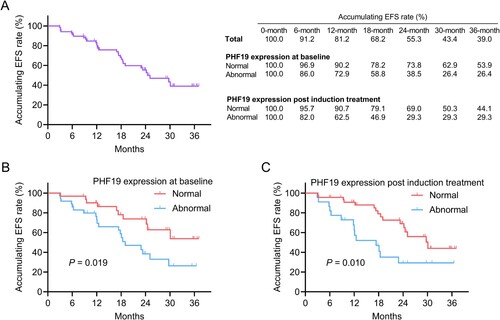 Figure 3. Abnormal PHF19 expression at baseline and post induction treatment were associated with shorter EFS in MM patients. The accumulating EFS rates (A). Linkage of abnormal PHF19 expression at baseline (B) and post induction treatment (C) with EFS.