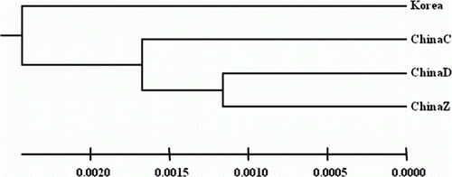 Figure 2.  UPGMA tree constructed from microsatellite loci for Larimichthys polyactis populations from Korea and China, according to Nei's genetic distance (1972) in Phylip v. 3.6.