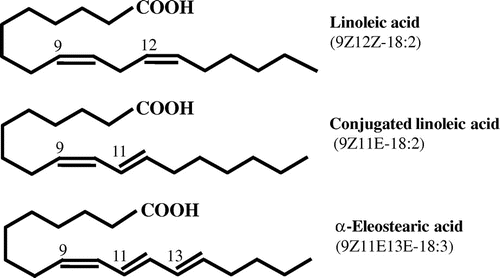 Fig. 1. Chemical structures of conjugated fatty acids.