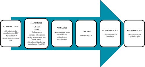 Figure 1. Timeline. Medical history timeline prior to the physiotherapy consultation.
