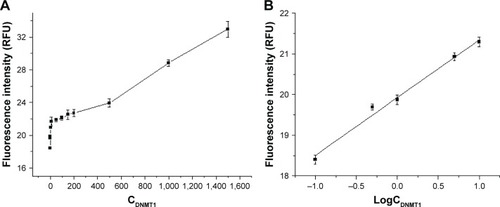 Figure 3 (A) The relationship between fluorescence intensity and DNMT1 concentration (0.1–1,500 ng/mL). (B) The relationship between fluorescence intensity and logCDNMT1 (0.1–10 ng/mL).Abbreviations: DNMT1, DNA methyltransferase 1; RFU, relative fluorescence units.