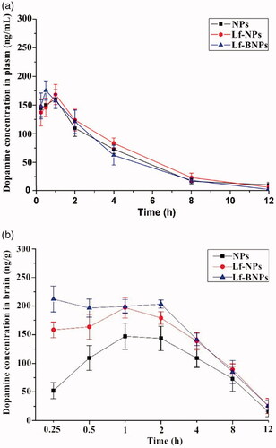 Figure 3. (a) Blood and (b) brain concentration-time profiles of dopamine following intranasal administration of dopamine-loaded NPs, Lf-NPs, and Lf-BNPs. Data represent the mean ± SD.