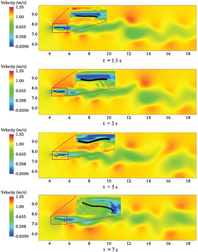 Figure 12. Two-dimensional flexible filament on velocity and geometry deformation distribution at different time step.