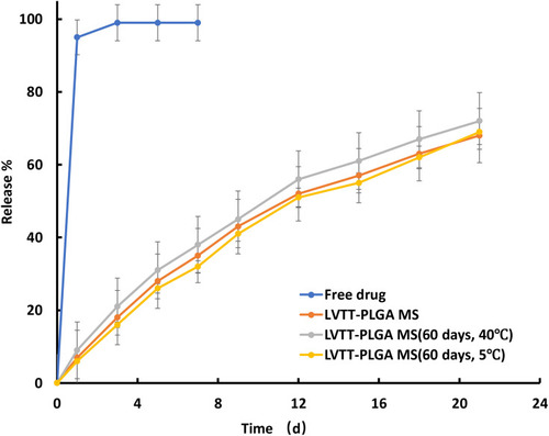 Figure 5 The release profile of free LVTT, LVTT-PLGA MS and LVTT-PLGA MS in PBS for 21 days (n=6).