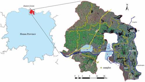 Figure 5. The study area in northern Hunan Province, China. The right-hand section provides an overview of the SAR data (R: 23 May 2017 VH polarization, G: 26 October 2017 VH polarization, B: 3 August 2017 VV polarization), roadmaps and sample spots of the field survey.