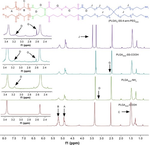 Figure 2 Synthesis scheme for amphiphilic copolymers with different shapes and associated 1H-NMR spectra (400 MHz, DMSO-d6 as solvent).Notes: Polymer characterization: 1H-NMR: A (δ 4.93, s, (–OC H2COO–)), B (δ 5.22, q, (–OC H(CH3)CONH–)), C (δ 1.50, t, (–OCH(C H3)CONH–)), D (δ 3.19, t, (–NH CH2CH2NH–)), G (δ 2.61, s, (–C H2-SS- CH2–)), J (δ 3.52, t, (–CH2C H2O–)).Abbreviations: PLGA-COOH, poly(lactic-co-glycolic acid); SS, disulfide; PEG, poly(ethylene glycol); ppm, parts per million; 1H-NMR, 1H-nuclear magnetic resonance imaging.