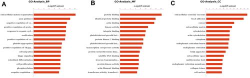 Figure 3 Gene ontology of the differentially expressed genes of oocytes in the germinal vesicle stage. The dataset analyzed was the genes that were differentially regulated (two-fold with FDR P < 0.05) between the PCOS and the control group. In (A) the bar chart represents the proportion of genes that map to a gene ontology term associated with a biological process. In (B) the bar chart represents the proportion of genes that map to a gene ontology term associated with a cellular component. In (C) the bar chart represents the proportion of genes that map to a gene ontology term associated with a cellular component molecular function.