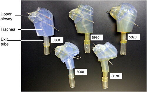 Figure 2. Photographs of the upper airway and trachea for each macaque used in the study. The upper airway, trachea, and exit tubing are labeled. Four metal rods were passed through four holes in each model segment to hold the segments together. This figure shows the models with one, or two, of the rods inserted through the four segments. Each model was attached to the APS through the exit tubing.