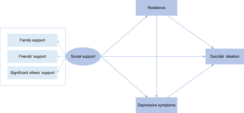 Figure 1 Hypothesized pathways from social support to suicidal ideation in the conceptual model.