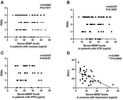 Figure 2 The correlation analysis between serum BDNF levels and clinical parameters. (A) The correlation between serum BDNF levels and RSSs was not found in patients with rosacea. (r=0.03563, P=0.7017) (B and C) The correlation between serum BDNF levels and RSSs was not found in patients with rosacea whatever in a subtype of ETR and PPR. (r=0.03157, P=0.7838; r=0.03721, P=0.8197) (D) The negative correlation between serum BDNF levels and BDI-II in rosacea with depression group was found.