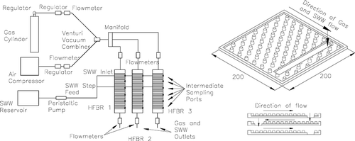 Figure 1. Schematic of the experimental setup; biofilm growth is supported on the surface and fustrums of the horizontal sheets.