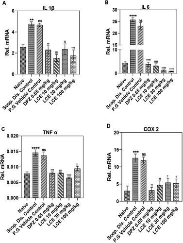 Figure 6. Effect of LCE in scopolamine-induced expression of IL-1β, IL-6, TNF-α and COX-2 in mouse hippocampi. Results are presented as mean ± standard error of mean (n = 7). Data analysis was performed using one-way ANOVA followed by Tukey’s multiple comparisons test. **p < 0.01, ***p < 0.001, ****p < 0.0001 compared to naïve control group; †p < 0.05, ††p < 0.01, †††p < 0.001, ††††p < 0.0001 compared to propylene glycol-treated group; ns- not significant.