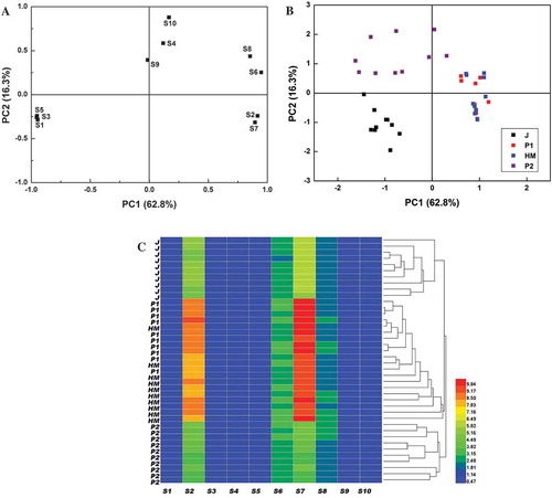 Figure 3. Loading variable plot (a), score plot (b) and heatmap associated with HCA (c) based on the aroma component of the juices.Figura 3. Diagrama de las variables de carga (a); Diagrama de datos (b); y mapa de calor asociado con HCA (c), basados en el componente de aroma de los jugos.