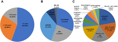 Figure 1 The distribution of patient ages, sample types and clinic departments among 45 OS-MRSA strains. (A) ages; (B) sample types; (C) clinic departments.