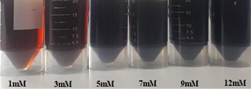 Figure 5. Picture of tea leaf extract-mediated AgNPs suspensions synthesized by using different AgNO3 concentrations.