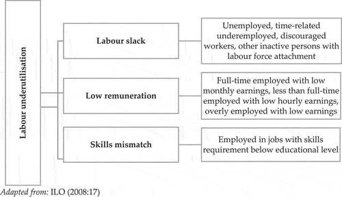 Figure 1. The revised LUF as indicated by the 18th ICLS. Adapted from: ILO (International Labour Organization; Citation2008, p. 17)