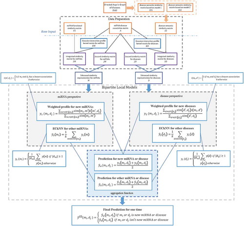 Figure 3. Flowchart of potential miRNA-disease association prediction based on the computational model of BLHARMDA: 1) data preparation, where enhanced similarity representation for miRNAs and diseases were constructed in this step; 2) Training the BLM with ECkNN as the local model and making predictions for the miRNAs or diseases with known associations by the BLM we trained. Then, using the weighted profile method to make prediction for new miRNAs and diseases.