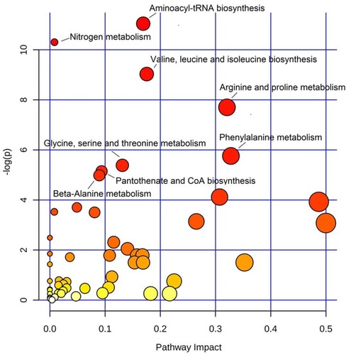 Figure 3 Metabolic pathways involved in COPD disease onset and progression. Scatter plot presenting enriched metabolic pathways. The color gradient indicates the significance of the pathway ranked by p-value (y-axis; yellow: higher p-values and red: lower p-values), and circle size indicates the pathway impact score (x-axis; the larger circle the higher impact score). Significantly affected pathways with p-value less than 0.01 were marked by names.