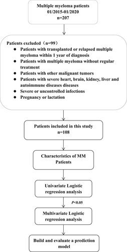 Figure 1. Flow diagram of MM patient enrollment and the study design.