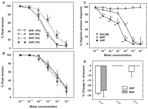 Figure 5 Vasodilator effect of atrial and brain natriuretic peptide (ANP, BNP) on pulmonary arterial rings isolated from normoxic A) and hypoxia-adapted rats B) and preconstricted with phenylephrine. C) Vasodilator effect of ANP and BNP on acute hypoxic pulmonary vasoconstriction in isolated rat lungs. D) Distribution of change in pulmonary vascular resistance following administration of ANP and BNP in isolated rat lungs exposed to acute hypoxia. Pressure in the pulmonary arteries, veins, and capillaries were assessed by occluding the pulmonary artery catheter (PAO), pulmonary venous catheter (PVO) and both catheters (double occlusion, PDO), respectively.Citation112