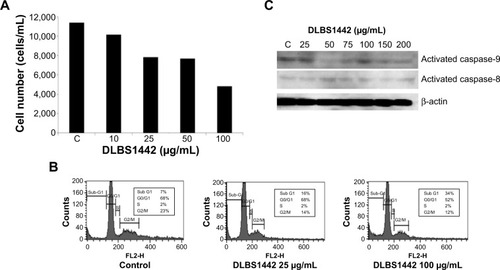 Figure 4 DLBS1442 inhibits RL95-2 cell viability and induces cellular apoptosis.