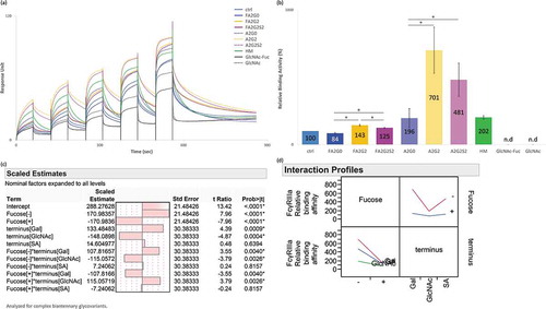 Figure 4. Binding affinity of FcγRIIIa was increased by core defucosylation and terminal galactosylation, decreased by further terminal sialylation in SPR analysis. (a) Sensorgrams of each glycoform. Anti-His Ab was immobilized on CM5 chip. N-terminal his tagged FcγRIIIa captured and glycoforms as analytes were injected by single-cycle mode at five concentrations. (b) Relative binding activities of FcγRIIIa. Error bars represent SD of n = 3 and asterisks indicate statistical significance at p < 0.05. n.d: not determined. (c) JMP analysis: Scaled estimates of effect of glycosylation for binding affinity of FcγRIIIa. Analyzed for complex biantennary glycoforms. (d) JMP analysis: Interaction profile of terminal glycosylation for binding affinity of FcγRIIIa. Analyzed for complex biantennary glycoforms. In lower left panel, red: Gal, blue: SA, and green: GlcNAc. Significant statistical interaction between core fucosylation and terminal galactosylation (c-d).