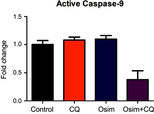 Figure S2 Effects of CQ, Osim, and combination on apoptosis players in MDA-MB-231. MDA-MB-231 cells were exposed to media devoid of drug (control), 30 μM CQ, 6 μM Osim, or combination over 48 hrs. Active caspase-9/GAPDH measured using Western blot, and signal was taken with respect to control. Mean ± SEM was plotted using GraphPad Prism Version 5. Bars represent the mean on quadruplets observed data with SEM.