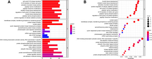 Figure 5 GO annotation analysis for the target genes of DEMs in the biological process, cellular component, and molecular function.