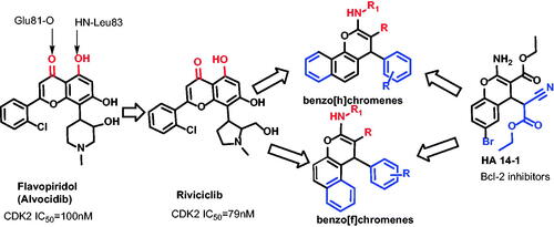 Figure 2. Rationalised design of the proposed new cell cycle arrest and apoptotic agents relying on the CDK-2 inhibitor and Bcl-2 inhibitor.