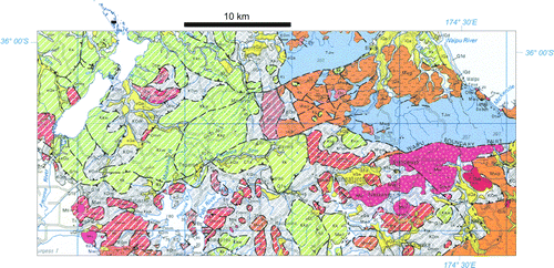 Figure 3  An area of southern Northland showing geological units of the Northland Allochthon with diagonal white striping, in contrast to autochthonous units in the east (Whangarei QMAP, Edbrooke & Brook Citation2009). Low-angle thrusts within the allochthon have juxtaposed older rocks upon younger and the displaced Cretaceous, Palaeogene and Miocene strata become increasingly dissociated to the south, passing into a sequence dominated by melange (shown here in grey).