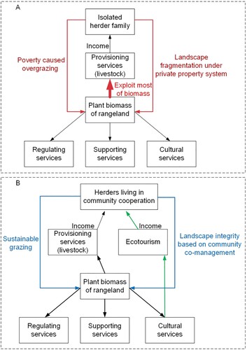 Figure 1. Policy-makers and scholars expected to use community-based ecotourism to promote sustainable rangeland management. (A) Overgrazing exploited most plant biomass but left very little biomass to maintain supporting, regulating, and cultural services. Besides, the landscape had fragmented for the private property system of grassland, which weakened ecosystem services. (B) Policy-makers considered ecotourism as an alternative income source to eliminate overgrazing and achieve the optimal trade-off of ecosystem services. They also endorsed community-based ecotourism as a pathway to rebuild community cooperation, thus reversing landscape fragmentation.