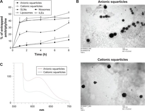 Figure 1 Amitriptyline entrapment, morphology, and polarity of the nanosystems.Notes: (A) Amitriptyline entrapment percentage into the nanosystems as a function of time; (B) the morphology of anionic and cationic squarticles viewed by TEM; and (C) the polarity of anionic and cationic squarticles determined by the solvatochromism of Nile red. Each value represents the mean and SD (n=4).Abbreviations: ILEs, intravenous lipid emulsions; SLNs, solid lipid nanoparticles; TEM, transmission electron microscopy.
