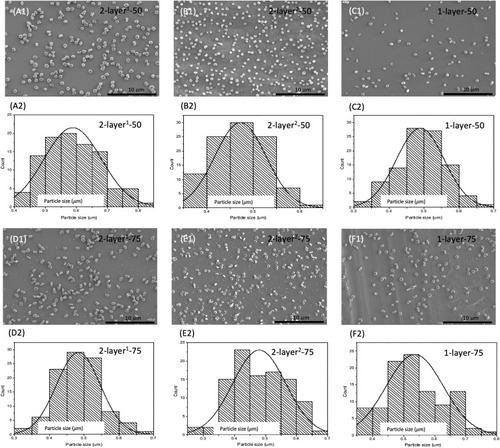Figure 2 SEM images and corresponding diameter distribution of drug-loaded nanoparticles produced using coaxial needle electrospray (A) 2-layer1-50, (B) 2-layer2-50, (D) 2-layer1-75, (E) 2-layer2-75 and single needle electrospray (C) 1-layer-50 and (F) 1-layer-75, respectively. Scale bars: 10 µm.