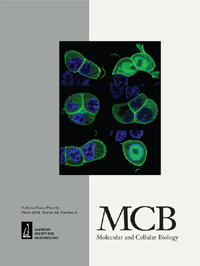 Cover image for Molecular and Cellular Biology, Volume 38, Issue 6, 2018