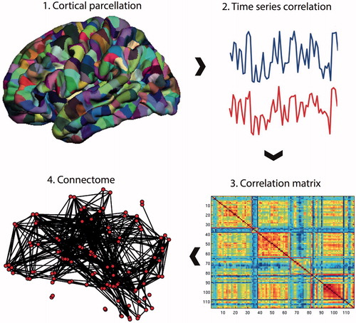 Figure 1. Connectome construction. Methods for performing a connectome analysis using resting-state fMRI data as an example, but similar methods can be applied to data acquired from DTI or EEG/MEG. Initially, a template is chosen to divide the brain into different regions (known as parcels) that form the network nodes. These nodes are used to form the rows and columns of a matrix. Entries of the matrix represent edges between each of the nodes and are formed by recording a measure of statistical dependency (such the Pearson correlation co-efficient) between the resting-state fMRI time series of each node. This correlation matrix can then be thresholded and binarised to form an adjacency matrix, although weighted and fully connected matrices (without thresholding) are also possible. Finally, the co-ordinates of each parcel are used to display the node location onto a surface reconstruction of the brain, with edges representing functional connections.