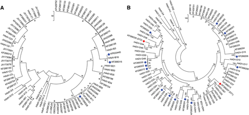 Fig. 6 Maximum-parsimony phylogenetic analysis for the fiber genesSequences of a HAdV-A, -B, and -C and b HAdV-D are presented as phylogenetic trees. Sequences derived from this large-scale sequencing study are identified by their GenBank accession codes. Novel HAdV genotype sequences identified by whole-genome analysis are denoted with blue dots. Novel fiber genes (KF268207, HAdV-D71, and KF268355, D72) with sequences that diverged significantly with known HAdV-D type sequences are identified by red dots. Trees were constructed, following sequence alignment with ClustalW, using the maximum-parsimony option of the Molecular Evolutionary Genetic Analysis v6 software package (MEGA6; www.megasoftware.net/) and implementing a bootstrap test of 1000 replicates and default parameters