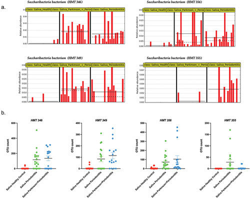 Figure 6. Abundance levels of four salivary species in all study groups. (a). relative abundances of Saccharibacteria bacterium TM7 (HMT 346), (HMT349), (HMT356), (HMT355) in saliva samples and (b). their scatter plot diagrams.