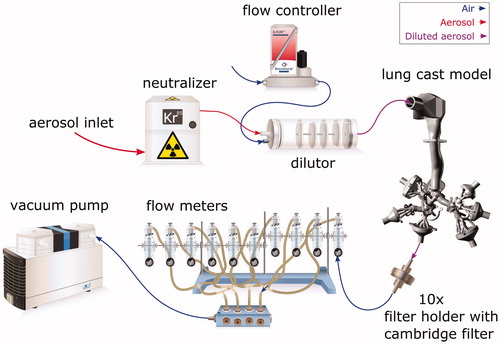 Figure 3. Schematic of the experimental set-up.