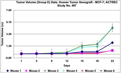 Figure 14. Tumour volume of group E data of human tumor Xenograft - MCF-7 mice model treated with Prakasine for 23 days. In the group E the tumour volume has increased gradually in all the six animals from 1st day to 23 nd day.